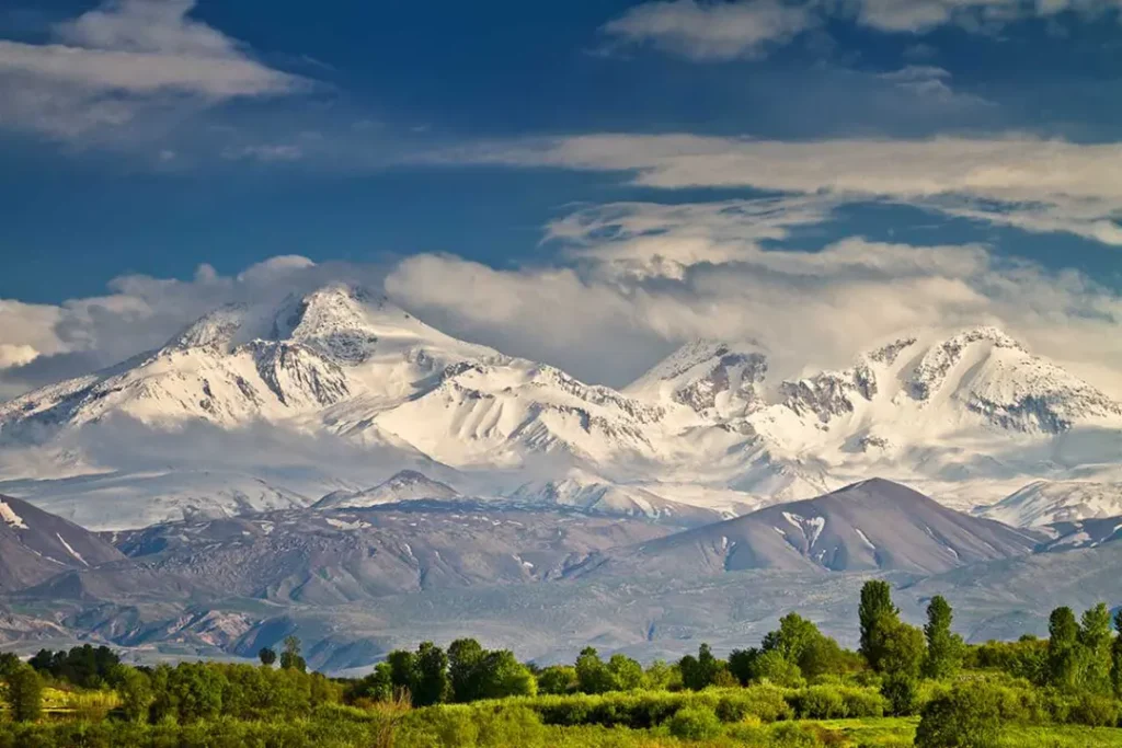موسسه مهاجرتی اردبیل