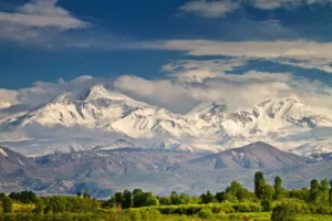 موسسه مهاجرتی اردبیل